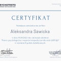 Powiększ obraz: certificate 2
