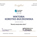 Powiększ obraz: certificate 6