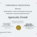 Powiększ obraz: certificate 1