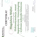 Powiększ obraz: certificate 2