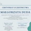 Powiększ obraz: certificate 1