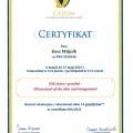 Powiększ obraz: certificate 6