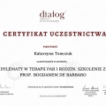 Powiększ obraz: certificate 2