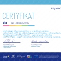 Powiększ obraz: certificate 4