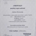 Powiększ obraz: certificate 5
