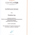 Powiększ obraz: certificate 6