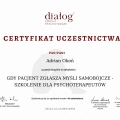 Powiększ obraz: certificate 11