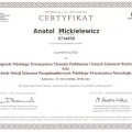 Powiększ obraz: certificate 5