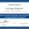 Powiększ obraz: certificate 1