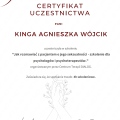 Powiększ obraz: certificate 7