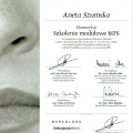 Powiększ obraz: certificate 4