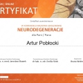 Powiększ obraz: certificate 17