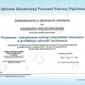 Powiększ obraz: certificate 23