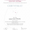 Powiększ obraz: certificate 5
