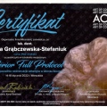 Powiększ obraz: certificate 3