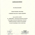 Powiększ obraz: certificate 14