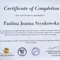 Powiększ obraz: certificate 2