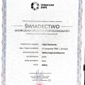 Powiększ obraz: certificate 1