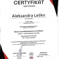 Powiększ obraz: certificate 3