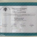 Powiększ obraz: certificate 9