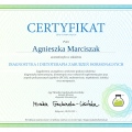 Powiększ obraz: certificate 8