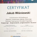 Powiększ obraz: certificate 13