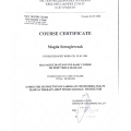Powiększ obraz: certificate 1