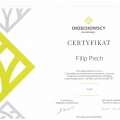 Powiększ obraz: certificate 8