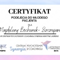 Powiększ obraz: certificate 1