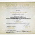 Powiększ obraz: certificate 7