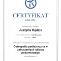 Powiększ obraz: certificate 8