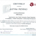 Powiększ obraz: certificate 2