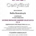 Powiększ obraz: certificate 1