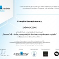 Powiększ obraz: certificate 32