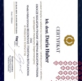 Powiększ obraz: certificate 40
