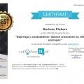 Powiększ obraz: certificate 8