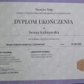 Powiększ obraz: certificate 3