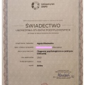 Powiększ obraz: certificate 3