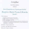 Powiększ obraz: certificate 8