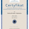 Powiększ obraz: certificate 1