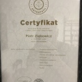 Powiększ obraz: certificate 2