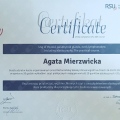 Powiększ obraz: certificate 1