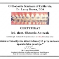 Powiększ obraz: certificate 8