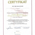 Powiększ obraz: certificate 2
