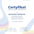 Powiększ obraz: certificate 1