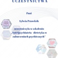 Powiększ obraz: certificate 29