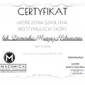 Powiększ obraz: certificate 6