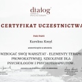 Powiększ obraz: certificate 6