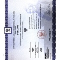 Powiększ obraz: certificate 2