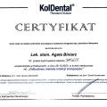 Powiększ obraz: certificate 7